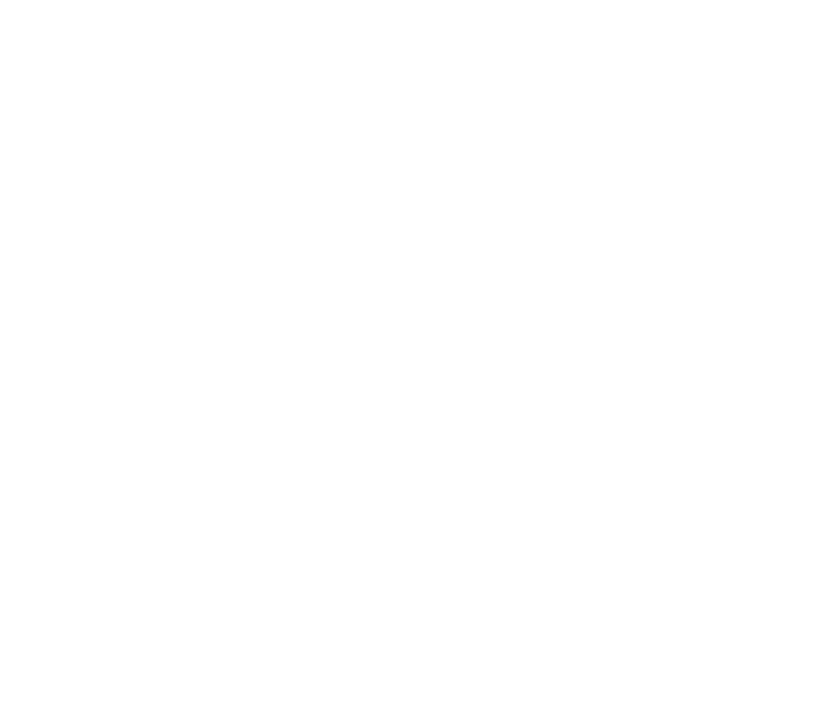 RAVEN